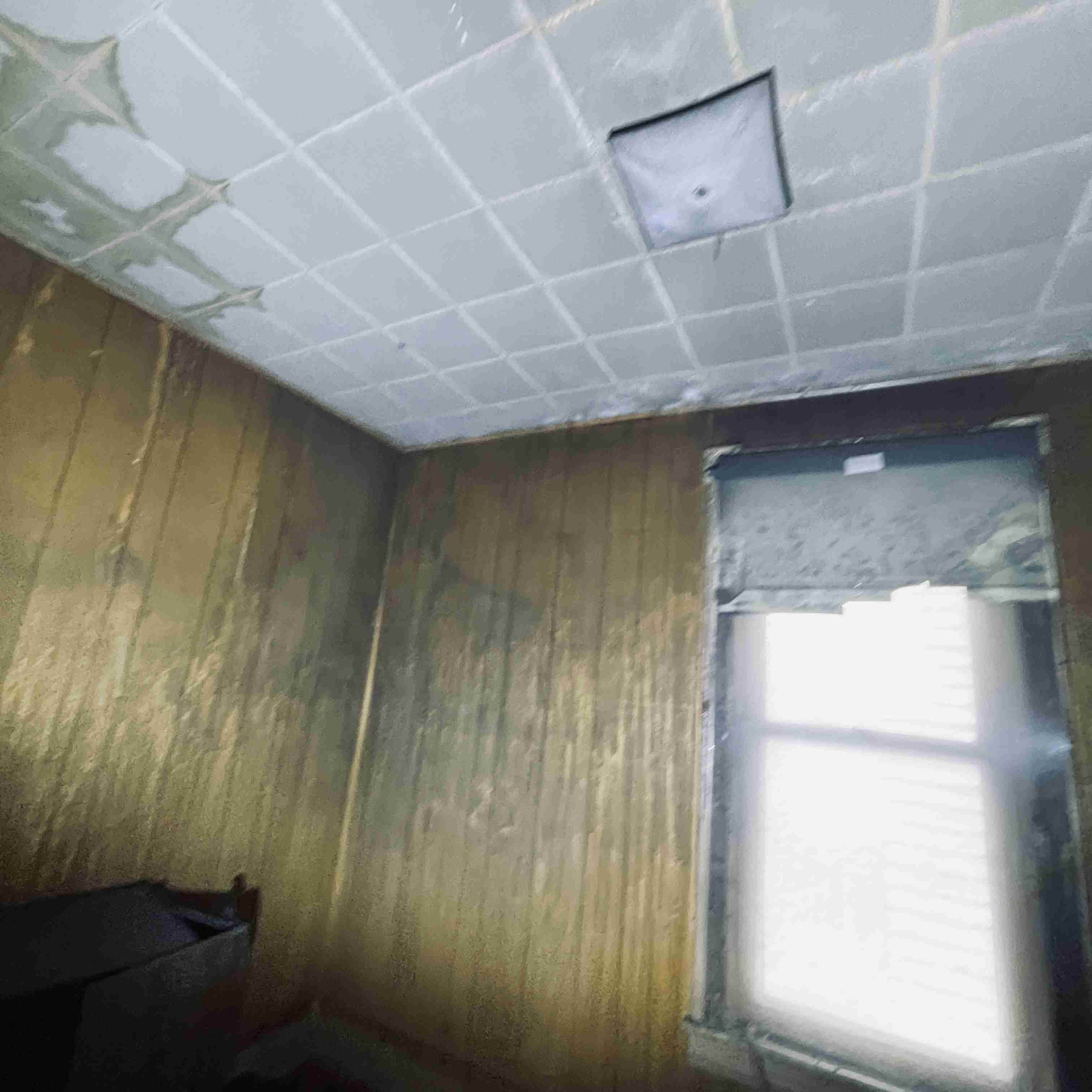 1060 Meldrum (35).jpg